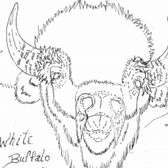 The White Buffalo Pattern by Robb Barr