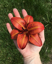 3-D Leather Tiger Lilies with Annie Libertini