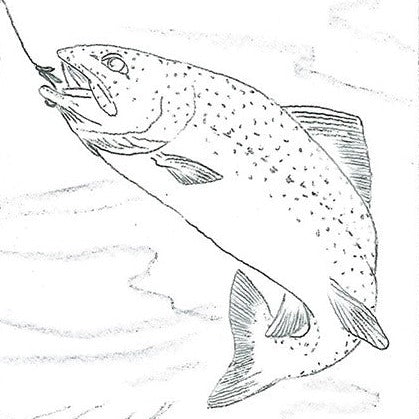 Free Leathercraft Pattern for Trout Portrait by Jim Linnell