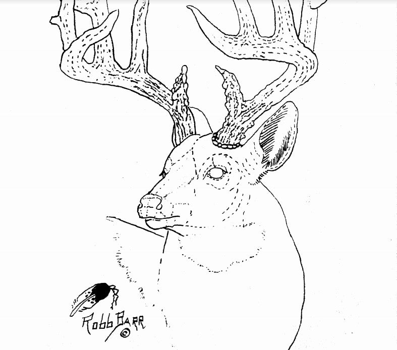 Free Big Horn Sheep Pattern by Robb Barr – Elktracks Studio free-big-horn-sheep-pattern-by-robb-barr-elktracks-studio