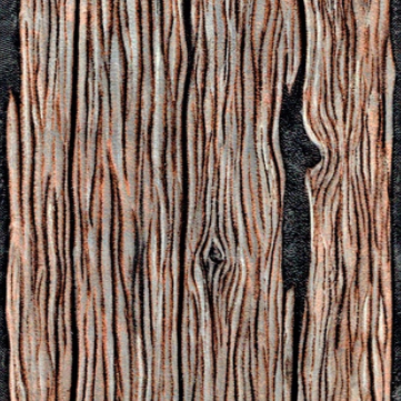 Wood Grain Texture In Leather with Jim Linnell