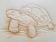 Figure Carving Turtles and Tortoises